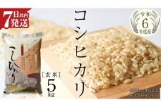 【 令和6年産 】 コシヒカリ 玄米 5kg ( 5kg × 1袋 ) (茨城県共通返礼品 かすみがうら市) 米 ごはん もっちり 甘い コメ お米 玄米 銘柄米 [EX003sa]
