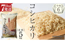 生活応援価格！ 【 令和6年産 】 コシヒカリ 玄米 5kg ( 5kg × 1袋 ) (茨城県共通返礼品 かすみがうら市) 米 ごはん もっちり 甘い コメ お米 玄米 銘柄米 [EX003sa]
