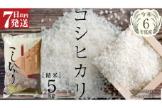 【 令和6年産 】 コシヒカリ 精米 5kg ( 5kg × 1袋 ) (茨城県共通返礼品 かすみがうら市) 米 ごはん もっちり 甘い コメ お米 白米 銘柄米 [EX001sa]