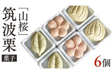 筑波 栗 菓子『 山桜 』 和栗 和栗ペースト マロン クリーム 蜂蜜 はちみつ ハチミツ てんさい糖 もち粉 菓子 和菓子 和スイーツ オリジナル [EK014sa]
