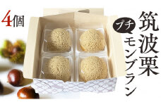 筑波 栗 の プチ モンブラン 約20g × 4個 和栗 和栗ペースト マロン クリーム 菓子 スイーツ オリジナル 洋菓子 和菓子 和スイーツ [EK013sa]