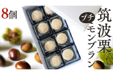 筑波 栗 の プチ モンブラン 約20g × 8個 和栗 和栗ペースト マロン クリーム 菓子 スイーツ オリジナル  洋菓子 和菓子 和スイーツ [EK012sa]