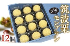 筑波 栗 の プチ モンブラン 約20g × 12個 和栗 和栗ペースト マロン クリーム 菓子 スイーツ オリジナル 洋菓子 和菓子 和スイーツ [EK011sa]