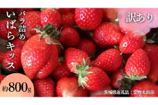 【 訳あり 】【 2026年 先行予約 】  いばらキッス たっぷり 約800g バラ詰め  （茨城県共通返礼品／常陸太田市） 茨城県品種 2026年2月から発送開始 フルーツ 苺 イチゴ いちご 新鮮 朝採れ 茨城県 桧山FRUITFARM [DY023sa]
