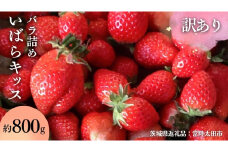 【 訳あり 】【 2026年 先行予約 】  いばらキッス たっぷり 約800g バラ詰め  （茨城県共通返礼品／常陸太田市） 茨城県品種 2026年2月から発送開始 フルーツ 苺 イチゴ いちご 新鮮 朝採れ 茨城県 桧山FRUITFARM 不揃い 規格外 [DY023sa]
