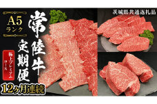【 定期便 12ヶ月 連続 】 常陸牛 最高級 A5 ランク のみ 極上 プレミアム コース 茨城県共通返礼品 黒毛和牛 国産黒毛和牛 和牛 国産 牛肉 牛 お肉 肉 ひたち牛  [CD032sa]