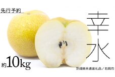【 2025年8月中旬発送開始 】 幸水梨 約 10kg ( 茨城県共通返礼品 / 石岡市 ) 幸水 梨 フルーツ 果物 なし ナシ 新鮮 旬 期間限定 甘い 国産 [EY001sa]