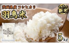 《 令和7年産 先行予約 》 コシヒカリ 「幻の米 羽鳥米」 5kg (5kg × 1袋) 筑波北麓秘蔵米 お米 ごはん 精米 コメ 白米 国産 茨城県 桜川市 限定 期間限定 数量限定 銘柄米 [AX011sa]