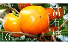献上柿の郷 富有柿 16玉 ( Lサイズ 16玉 × 1箱 ) ( 茨城県共通返礼品 石岡市 ) 11月中旬発送開始 数量限定 果物 くだもの フルーツ 柿 [EZ001sa]