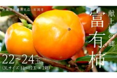 献上柿の郷 富有柿 22玉 ～ 24玉 ( 3Lサイズ 11玉 ～ 12玉 × 2箱 ) ( 茨城県共通返礼品 石岡市 ) 2025年11月中旬発送開始 数量限定 果物 くだもの フルーツ 柿 [EZ004sa]