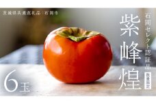《 数量限定 》 石岡セレクト認証品 紫峰煌 ( 柿 約 300g × 6玉 ) ( 茨城県共通返礼品 石岡市 ) 11月中旬発送開始 数量限定 富有柿 しほうのきらめき ブランド 果物 くだもの フルーツ 贈答品 ギフト 化粧箱 入り [EZ005sa]