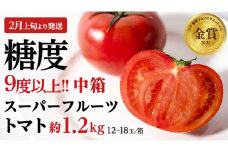 《 2026年収穫分 先行予約 》 糖度9度以上 スーパーフルーツトマト 中箱 約1.2kg × 1箱 (12～18玉/1箱) フルーツトマト ブランドトマト 野菜 ギフト 贈答 [BC002sa]