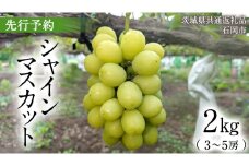 【2025年9月上旬発送開始】 シャインマスカット 2kg ( 3~5房 )( 茨城県共通返礼品 石岡市 ) 数量限定 フルーツ 果物 マスカット ぶどう 葡萄 ブドウ 旬 国産 産地直送 [FB005sa]