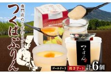 ゴールドぷりん ＆ 焼き芋ぷりん 各3個 計6個 つくばぷりん プリン ぷりん 焼きいも 焼きイモ さつまいも 牛乳 ミルク 卵 スイーツ 贅沢 洋菓子 おやつ 冷菓 ご褒美 デザート 人気 グルメ お取り寄せ ギフト プレゼント 贈り物 送料無料 ふじ屋 茨城県 桜川市 [EW016sa]