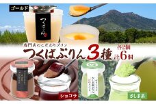 ゴールドぷりん ＆ ショコラ・ヴィノ・プディング ＆ さしま茶プリン 各2個 計6個 つくばぷりん プリン ぷりん ショコラ チョコレート さしま茶 茶 お茶 スイーツ 洋菓子 和スイーツ 冷菓 デザート 人気 グルメ お取り寄せ ギフト 送料無料 ふじ屋 茨城県 桜川市 [EW020sa]