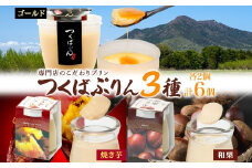ゴールドぷりん ＆ 焼き芋ぷりん ＆ 和栗ぷりん 各2個 計6個 つくばぷりん プリン ぷりん 焼き芋 焼きいも 焼きイモ いも 和栗 くり クリ 栗 スイーツ 洋菓子 おやつ 和スイーツ 冷菓 デザート 人気 グルメ お取り寄せ ギフト 送料無料 ふじ屋 茨城県 桜川市 [EW022sa]