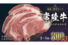 【 常陸牛 】 ハミデルカルビ 300ｇ (2～3枚) （茨城県共通返礼品） カルビ 黒毛和牛 国産黒毛和牛 和牛 国産 牛肉 牛 お肉 肉 ひたち牛 冷凍[CD052sa]