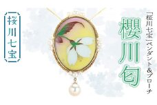 「 桜川 七宝 」 櫻川匂 ペンダント ＆ ブローチ (60mm×40mm) ／ 母の日 プレゼント ジュエリー 作家 伝統工芸 森千鶴子 記念 ギフト 贈り物 贈答 [AH131sa]