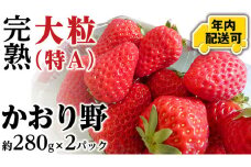 【12/22までの申込で年内にお届け！】 完熟 かおり野 約280g×2パック 年内お届け 国産 いちご イチゴ 苺 [BC081sa]