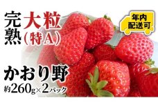 【12/17までの申込で年内にお届け！】 完熟 かおり野 約260g×2パック 年内お届け 国産 いちご イチゴ 苺 [BC081sa]