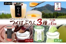 無地熨斗 ゴールドぷりん ＆ ショコラ・ヴィノ・プディング ＆ さしま茶プリン 各2個 計6個 つくばぷりん プリン ぷりん ショコラ チョコレート さしま茶 茶 お茶 スイーツ 洋菓子 和スイーツ 冷菓 デザート 人気 グルメ お取り寄せ ギフト 送料無料 ふじ屋 茨城県 桜川市 [EW042sa]