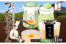 無地熨斗 ゴールドぷりん ＆ さしま茶ぷりん 各3個 計6個 つくばぷりん プリン ぷりん さしま茶 茶 お茶 牛乳 ミルク 卵 スイーツ 贅沢 洋菓子 おやつ 和スイーツ 冷菓 ご褒美 デザート 人気 グルメ お取り寄せ ギフト プレゼント 送料無料 ふじ屋 茨城県 桜川市 [EW041sa]