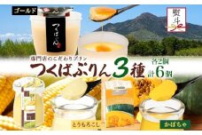 無地熨斗 ゴールドぷりん ＆ とうもろこしプリン ＆ かぼちゃぷりん 各2個 計6個 つくばぷりん  プリン ぷりん とうもろこし トウモロコシ かぼちゃ カボチャ スイーツ 洋菓子 和スイーツ 冷菓 デザート 人気 グルメ お取り寄せ ギフト 送料無料 ふじ屋 茨城県 桜川市 [EW043sa]