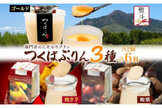無地熨斗 ゴールドぷりん ＆ 焼き芋ぷりん ＆ 和栗ぷりん 各2個 計6個 つくばぷりん プリン ぷりん 焼き芋 焼きいも 焼きイモ いも 和栗 くり クリ 栗 スイーツ 洋菓子 おやつ 和スイーツ 冷菓 デザート 人気 グルメ お取り寄せ ギフト 送料無料 ふじ屋 茨城県 桜川市 [EW044sa]