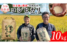 【令和6年】茨城県産 コシヒカリ 10kg 令和6年産 単一原料米 精米 米 お米 コメ 白米 こしひかり 茨城県 [BC083sa]