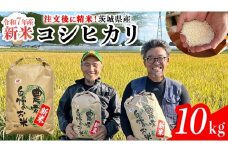 【令和7年】茨城県産 コシヒカリ 10kg 令和7年産 新米 単一原料米 精米 米 お米 コメ 白米 こしひかり 茨城県[BC083sa]