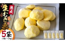《 先行予約 》【 吉原農場 の 完熟栗 】 熟成 生むき栗 ( 120g × 5袋 ) 完熟 栗 くり クリ 栗ごはん 果物 フルーツ 贈答 ギフト 旬 秋の味覚 秋 冬 正月 おせち 《 2025年10月下旬発送開始 》 [FC004sa]