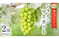 【2025年9月中旬発送開始】 極上 プレミアム シャインマスカット ２房 ( １房 1kg 以上) 数量限定 【茨城県共通返礼品／常陸太田市】 先行予約 マスカット 特大 贈答用 ギフト プレゼント フルーツ くだもの 果物  果実 ぶどう ブドウ 葡萄 茨城県 [DU023sa]