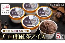 猿島茶使用 チョコ 和紅茶 アイス 5個入 アイスクリーム あいす ふるさと納税 ギフト スイーツ お菓子 お祝い 詰合せ [DV022sa]	