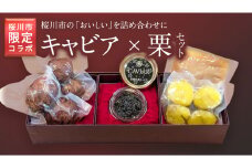 【 桜川市 限定 コラボ 】『 キャビア と 筑波嶺栗 』 キャビア20g 栗きんとん 180g 渋皮煮4個 スタージョンキャビア 栗 栗きんとん マロン 渋皮煮 お祝い お歳暮 お正月 おせち 贈答品 贈り物 ギフト  [BR020sa]