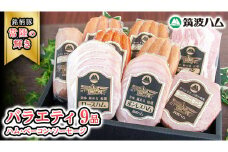 筑波ハム バラエティ 9品 ( ハム ベーコン ソーセージ ) 『常陸の輝き』 茨城県産 ブランド豚 銘柄豚 ( 茨城県共通返礼品 ) ロースハム ボンレスハム フランク ウィンナー チョリソー 豚 ポーク ステーキ 肉 お肉 [EN009sa]