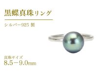 黒蝶真珠 8.5-9.0mm シルバー 925製 リング ( ダイヤモンド 無し ) フォーマル 冠婚葬祭 真珠 ペンダント ネックレス ジュエリー ギフト 記念 贈り物 贈答 プレゼント [AH140sa]