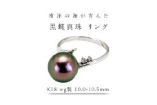 南洋の海が育んだ 黒蝶真珠 リング （ K18 wg製 10.0-10.5mm ） フォーマル 冠婚葬祭 結婚式 真珠 パール ダイヤモンド リング 指輪 アクセサリー 18金 ギフト 記念 贈り物 贈答用 アクセサリー ジュエリー ジュエリーマーノ 桜川市 [AH145sa]