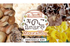 【 全３回 隔月定期便 】 きのこ の 詰め合わせ Mサイズ 約1.5kg （茨城県共通返礼品 城里町） 定期便 キノコ 舞茸 あわび茸 たもぎ茸 しいたけ 花びら茸 セット 鍋 炒め物 [CX009sa]