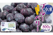 【2025年7月中旬から発送開始】 茨城県産 冷凍 ブルーベリー 合計 500g (250g×2袋) 多品種 果実 果物 くだもの フルーツ おやつ ブルーベリー ベリー ジャム 小分け[DZ003sa]