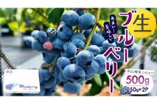 【2025年6月下旬から発送開始】 茨城県産 生 ブルーベリー 合計 500g (250g×2P) 多品種 果実 果物 くだもの フルーツ おやつ ブルーベリー ベリー ジャム 小分け[DZ001sa]
