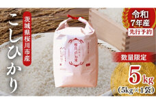 【生産者支援】 《令和7年産 先行予約》茨城県 桜川市産 こしひかり5kg 茨城県産 桜川 米 お米 白米 コメ ごはん 精米 コシヒカリ 国産 限定 銘柄米 [SC051sa]