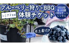 【寄附受付は2025年7月29日まで】 ブルーベリー狩り ＋ DAYキャンプ 体験チケット 《シニア２名様プラン レンタルBBQ道具＋お土産付き》 ブルーベリー ベリー 食べ比べ 食べ放題 収穫 収穫体験 キャンプ BBQ バーベキュー 肉 旅行 レンタル 体験 チケット 招待券 レジャー 観光 シニア ふれあい お土産 おみやげ 持ち帰り テイクアウト 多品種 果実 果物 [DZ017sa]