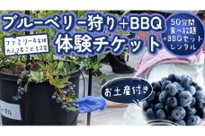 【寄附受付は2025年7月29日まで】 ブルーベリー狩り ＋ DAYキャンプ 体験チケット 《ファミリー４名様プラン レンタルBBQ道具＋お土産付き》 ブルーベリー ベリー 食べ比べ 食べ放題 収穫 収穫体験 キャンプ BBQ バーベキュー 肉 旅行 レンタル 体験 チケット 招待券 レジャー 観光 ファミリー ふれあい お土産 おみやげ 持ち帰り テイクアウト 多品種 果実 [DZ016sa]