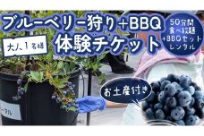【寄附受付は2025年7月29日まで】 ブルーベリー狩り ＋ DAYキャンプ 体験チケット 《大人１名様プラン レンタルBBQ道具＋お土産付き》 ブルーベリー ベリー 食べ比べ  食べ放題 収穫 収穫体験 キャンプ BBQ バーベキュー 肉 旅行 レンタル 体験 チケット 招待券 レジャー 観光 ふれあい お土産 おみやげ 持ち帰り テイクアウト 多品種 果実 果物 くだもの [DZ012sa]
