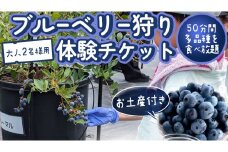 【寄附受付は2025年7月29日まで】 ブルーベリー狩り 体験チケット 《大人２名様プラン お土産付き》 ブルーベリー ベリー 食べ比べ 食べ放題 収穫 収穫体験 体験 チケット 招待券 レジャー 観光 旅行 ふれあい お土産 おみやげ 持ち帰り テイクアウト 多品種 果実 果物 くだもの フルーツ 自然体験 農業体験 茨城県 桜川市 [DZ007sa]