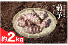 【2025年11月中旬から発送開始】 茨城県桜川市産 菊芋 2kg キクイモ 野菜 やさい 芋 お芋 いも 菊いも 菊イモ きく芋 除草剤・殺虫剤不使用 [DZ004sa]