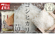  生活応援価格！ 【 令和6年産 】  コシヒカリ 精米 10kg ( 10kg × 1袋 ) (茨城県共通返礼品 かすみがうら市) 米 ごはん もっちり 甘い コメ お米 白米 銘柄米 [EX009sa]
