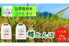 自然栽培米 コシヒカリ 『蝶とんぼ』 上白米 2kg 茨城県産 桜川 米 お米 白米 コメ ごはん コシヒカリ こしひかり 国産 [AU002sa]