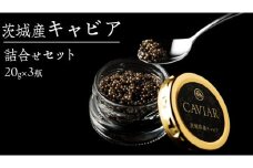  キャビア 詰め合わせ セット 20g×3個 キャビア  高級食材  記念日 誕生日 世界三大珍味 国産キャビア 茨城県産 茨城 [AI001sa]