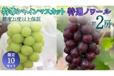 特等選抜 二房組（特等 シャインマスカット 約700g × 特選 ノワール 約600g／糖度保証付き） 【10セット限定】 桜川市産 弓削ぶどう園 ぶどう 葡萄 果物 フルーツ 産地直送 数量限定 [AC007sa]